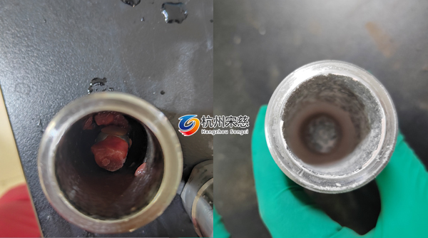 多樣品組織研磨儀在豬心臟分子機(jī)制研究中的高效應(yīng)用